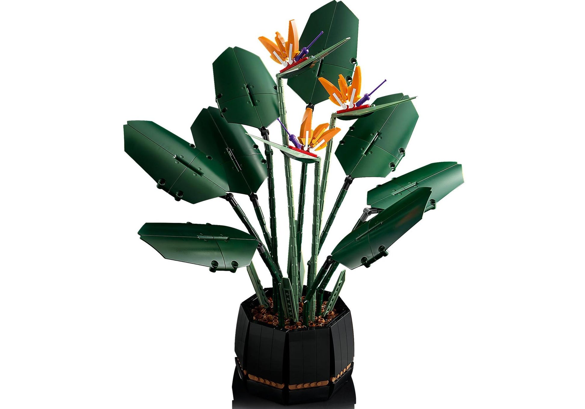 Lego 10289 Icons Paradiesvogelblume - plegobil