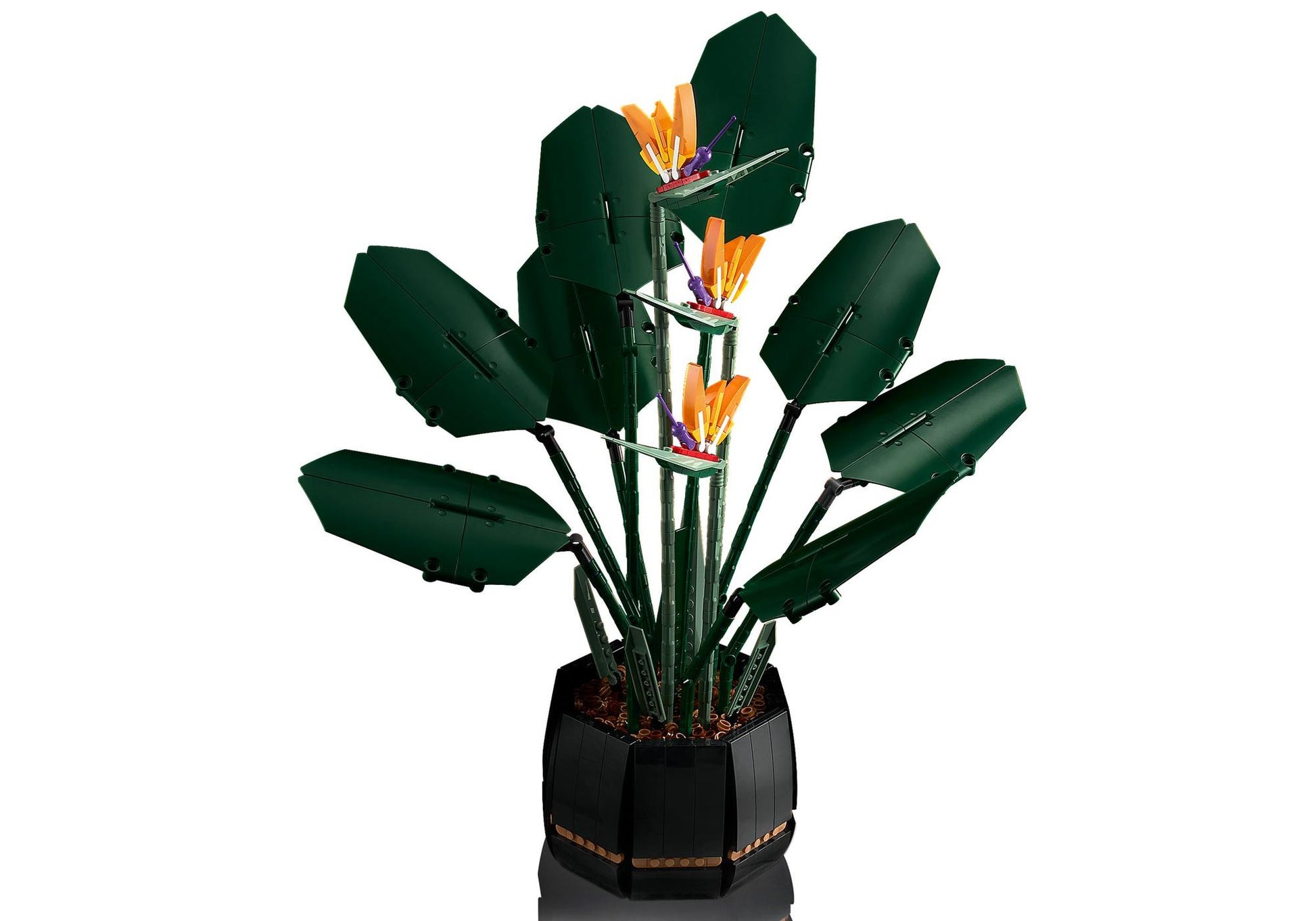 Lego 10289 Icons Paradiesvogelblume - plegobil