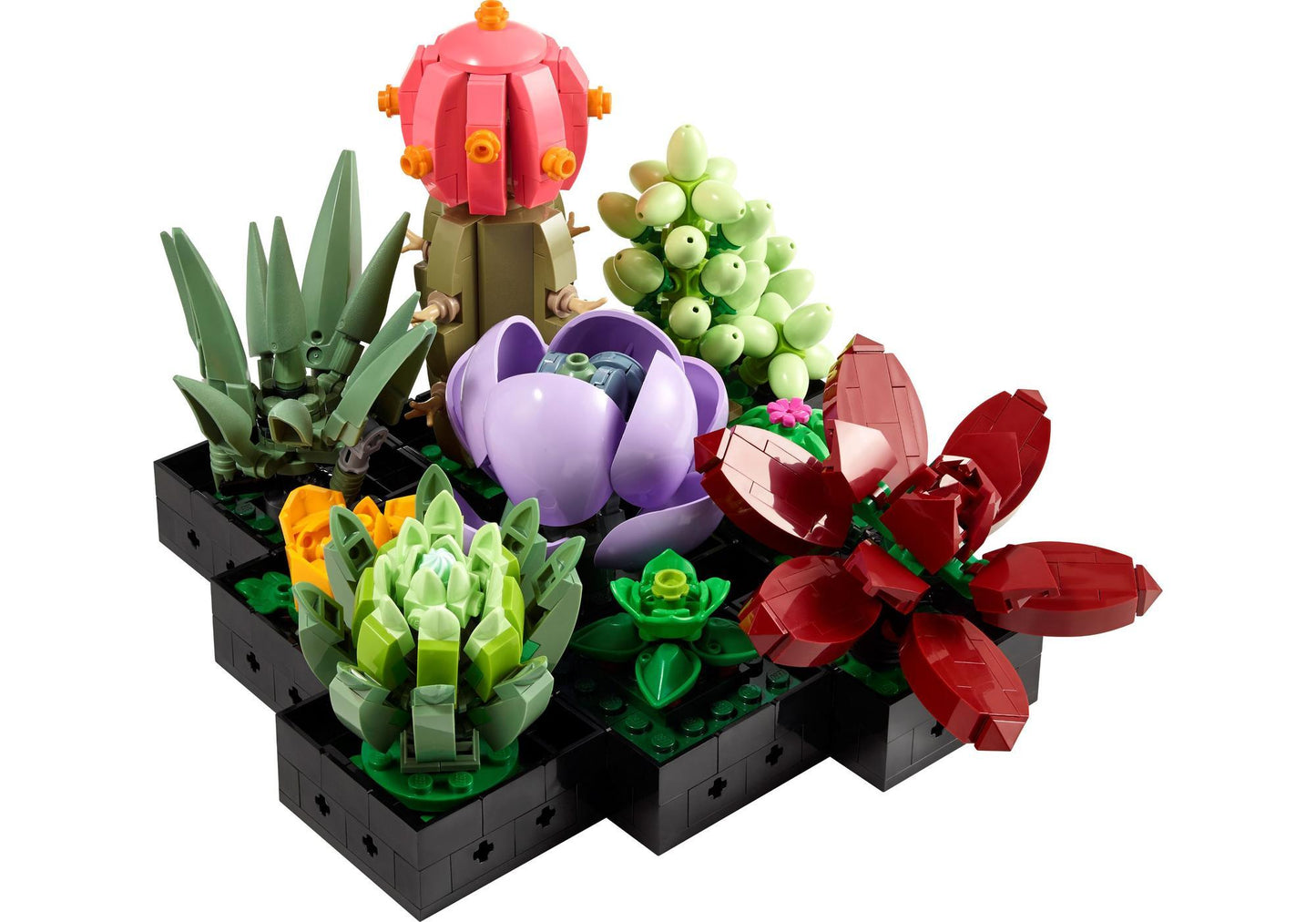 Lego 10309 Icons Sukkulenten - plegobil