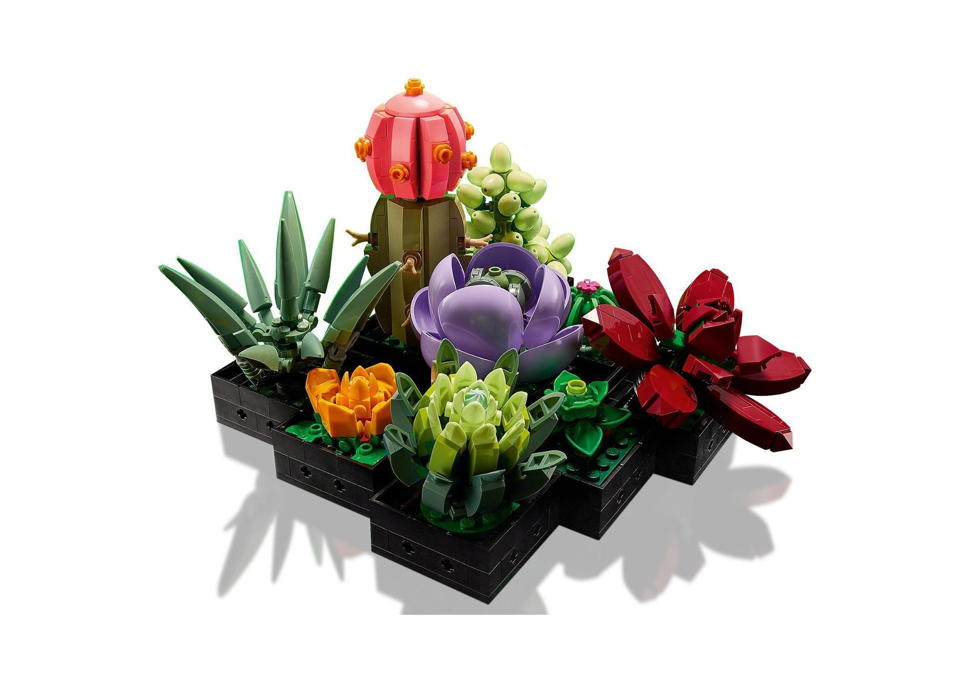 Lego 10309 Icons Sukkulenten - plegobil