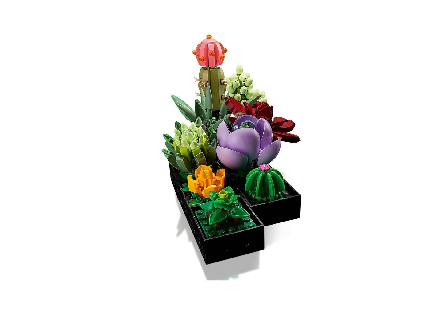 Lego 10309 Icons Sukkulenten - plegobil