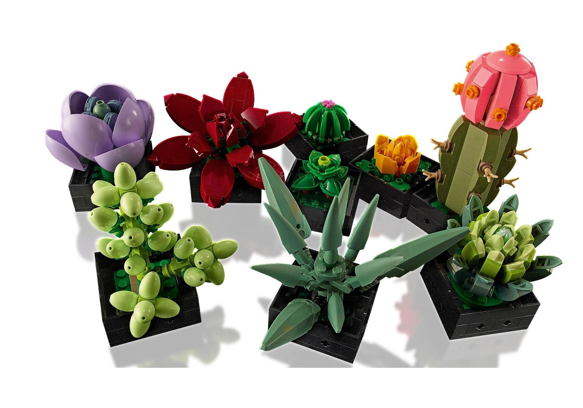 Lego 10309 Icons Sukkulenten - plegobil