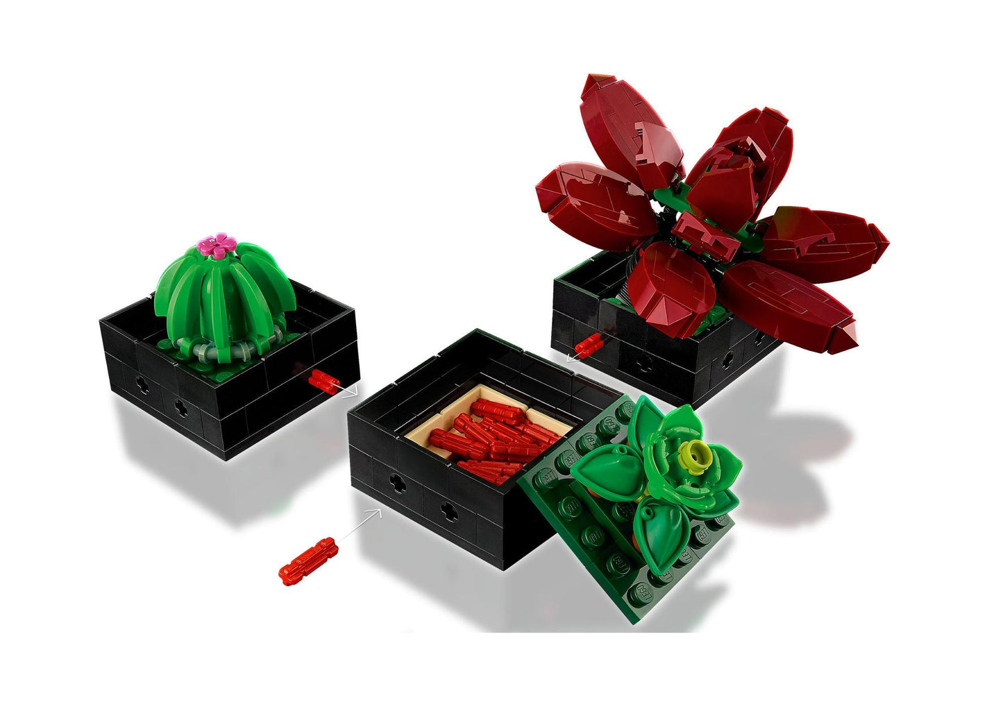Lego 10309 Icons Sukkulenten - plegobil