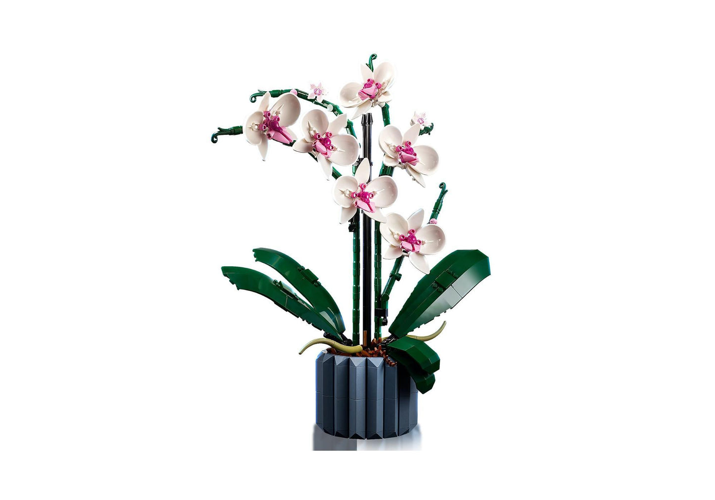 Lego 10311 Icons Orchidee - plegobil