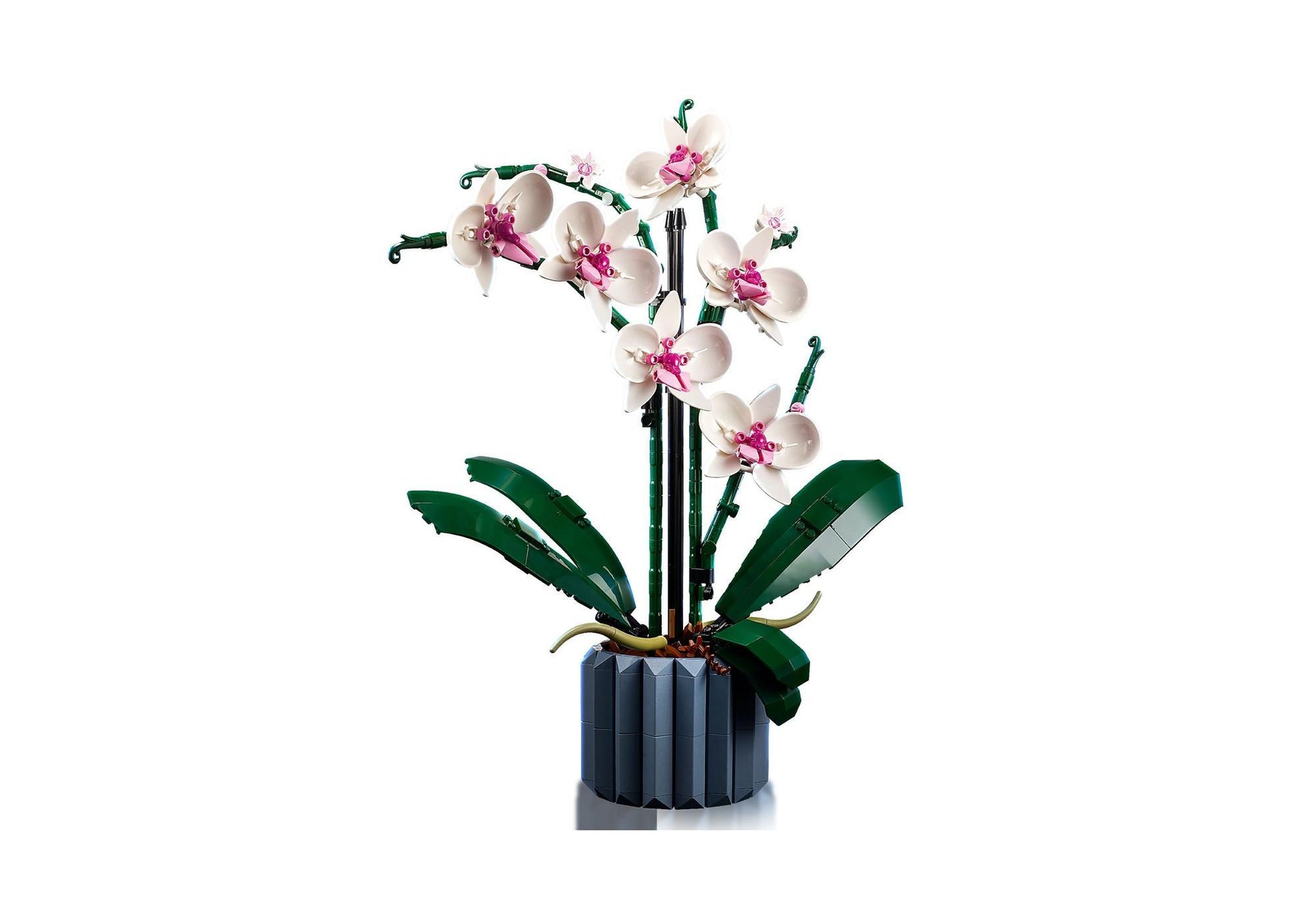 Lego 10311 Icons Orchidee - plegobil