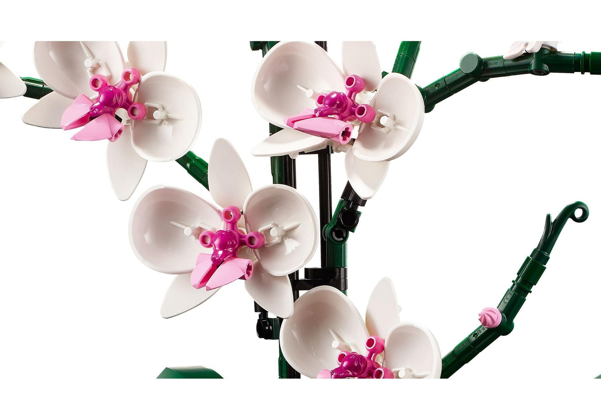 Lego 10311 Icons Orchidee - plegobil