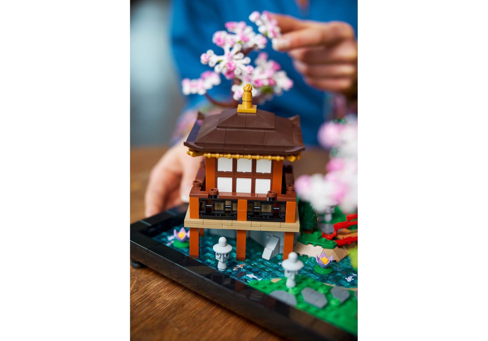 Lego 10315 Icons Garten der Stille - plegobil