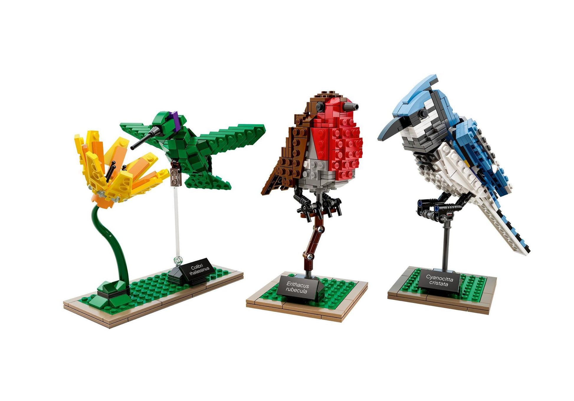 Lego 21301 Ideas Birds - plegobil
