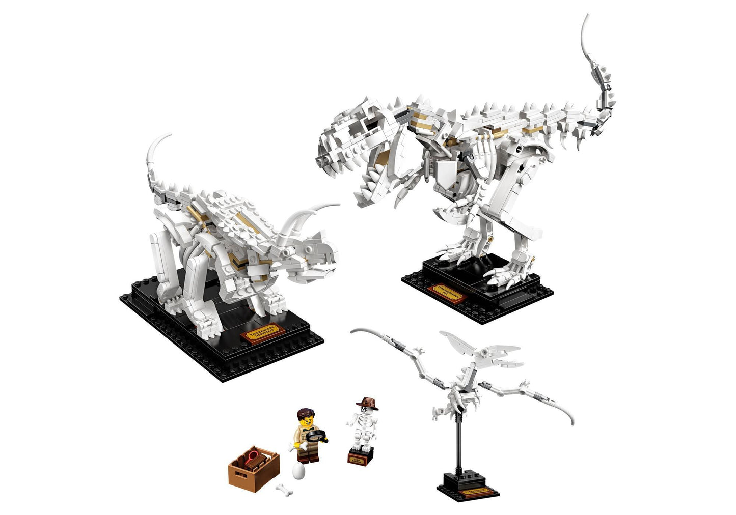 Lego 21320 Ideas Dinosaurier-Fossilien - plegobil