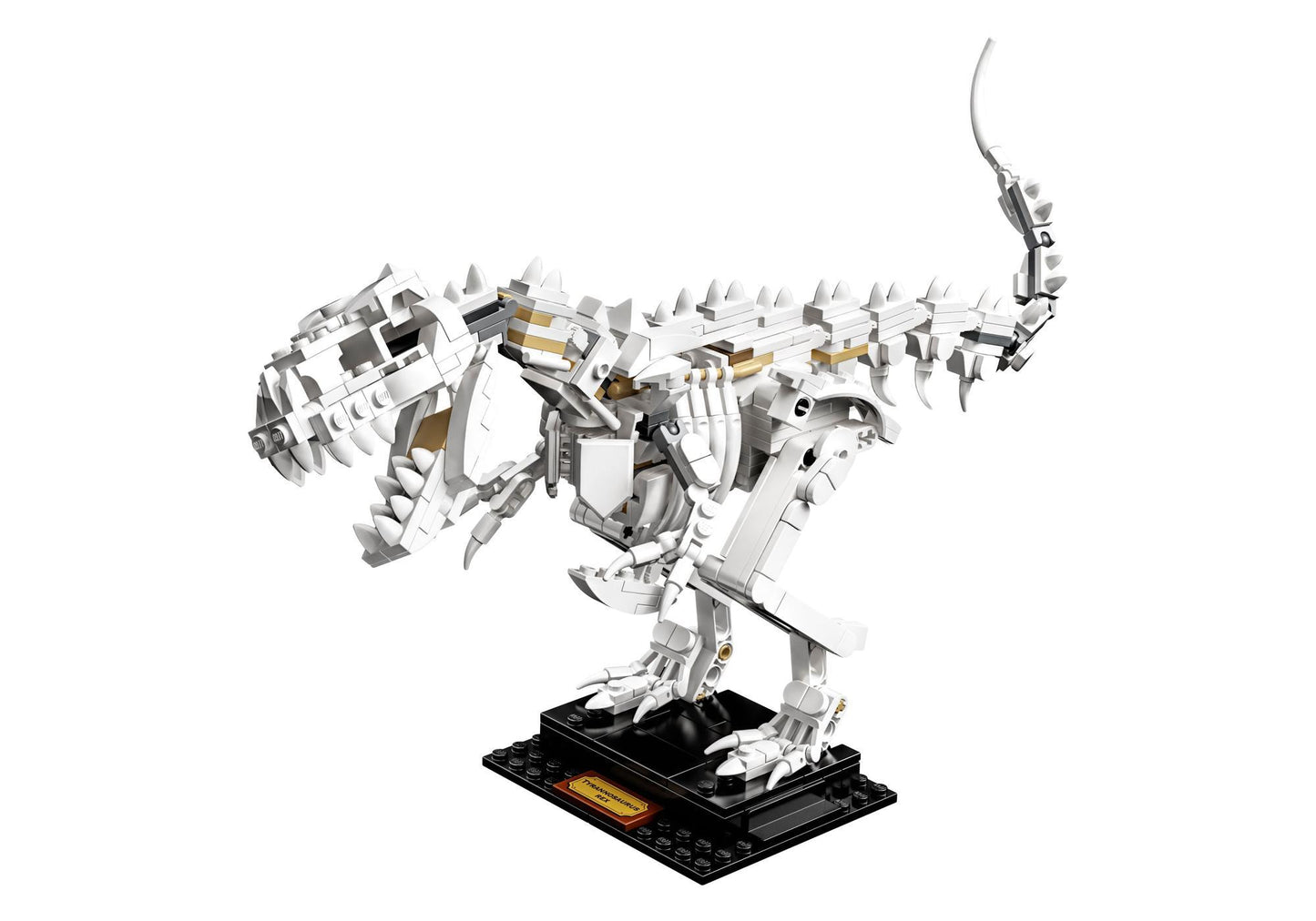 Lego 21320 Ideas Dinosaurier-Fossilien - plegobil