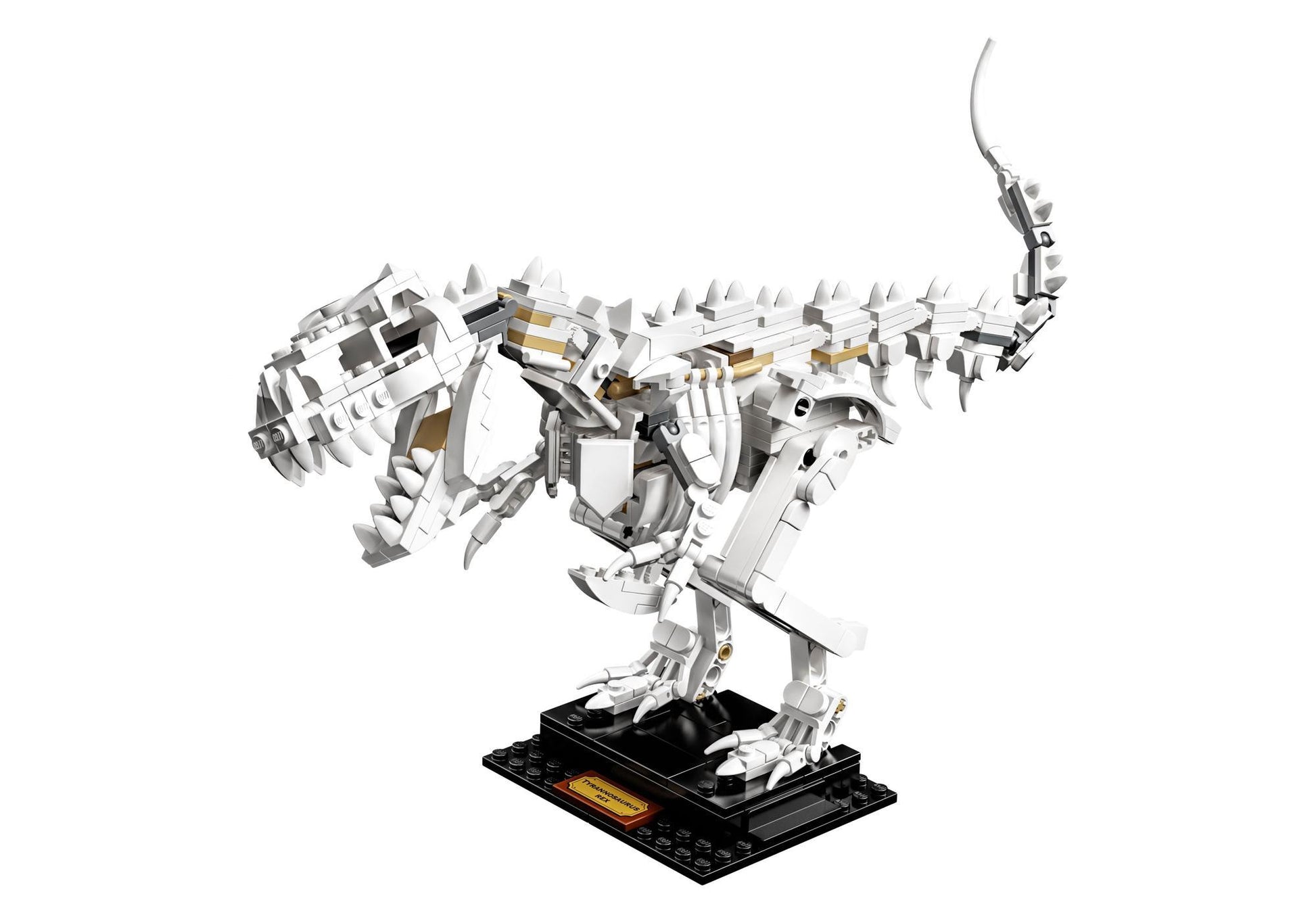Lego 21320 Ideas Dinosaurier-Fossilien - plegobil