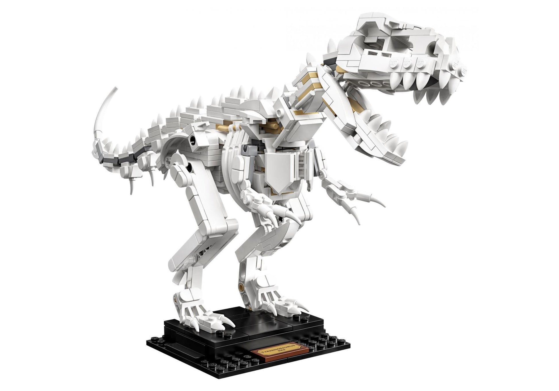 Lego 21320 Ideas Dinosaurier-Fossilien - plegobil