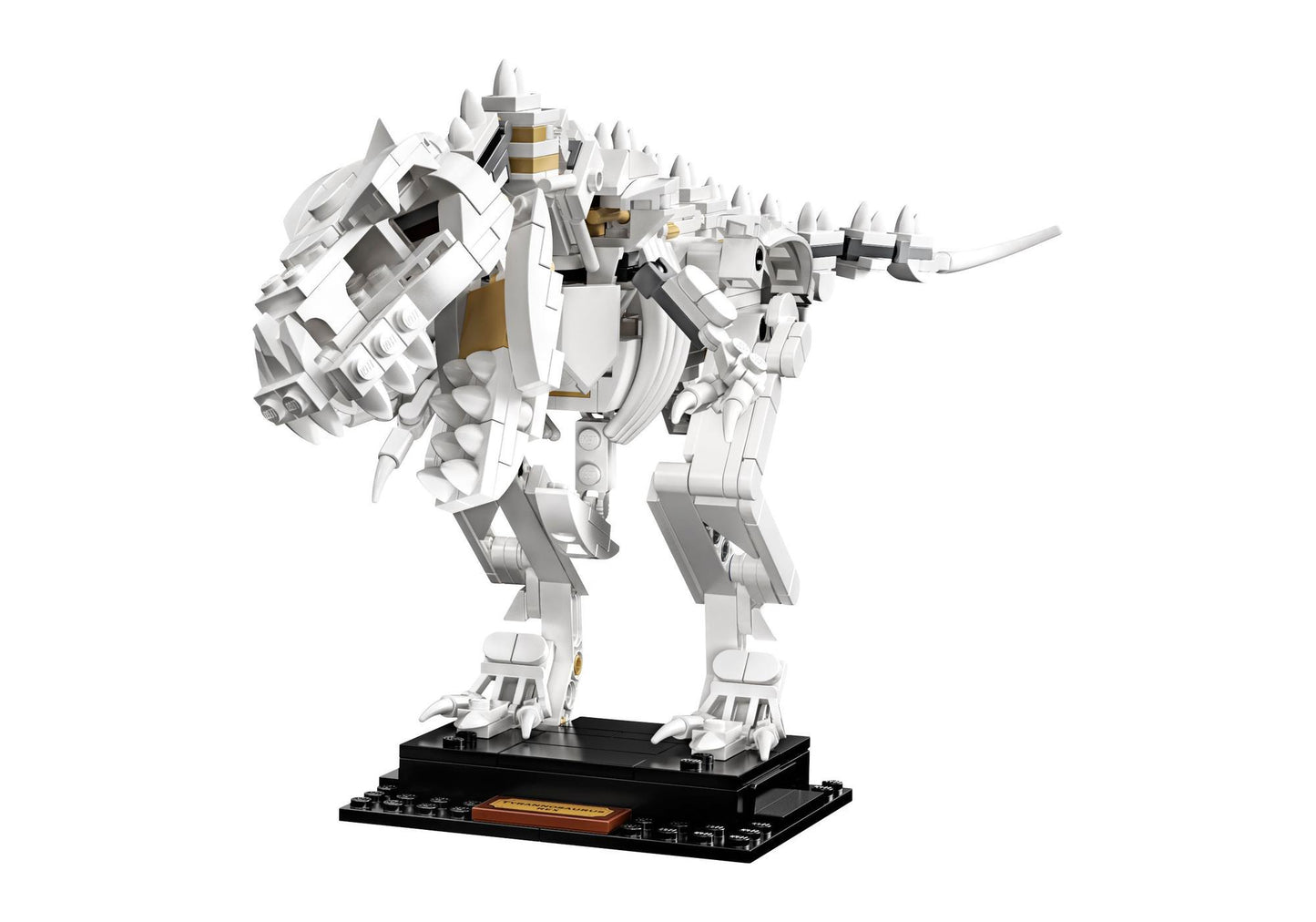 Lego 21320 Ideas Dinosaurier-Fossilien - plegobil