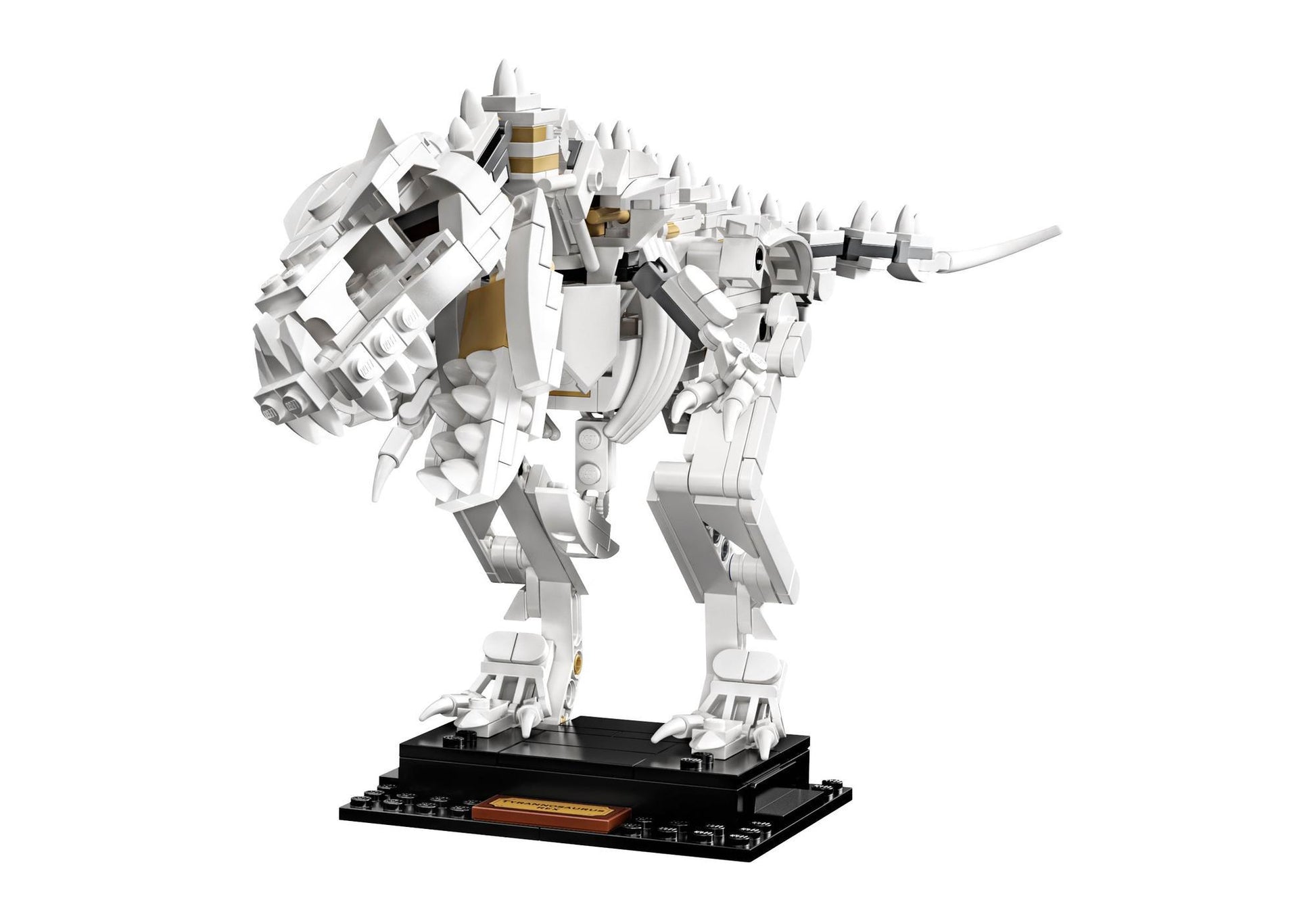 Lego 21320 Ideas Dinosaurier-Fossilien - plegobil