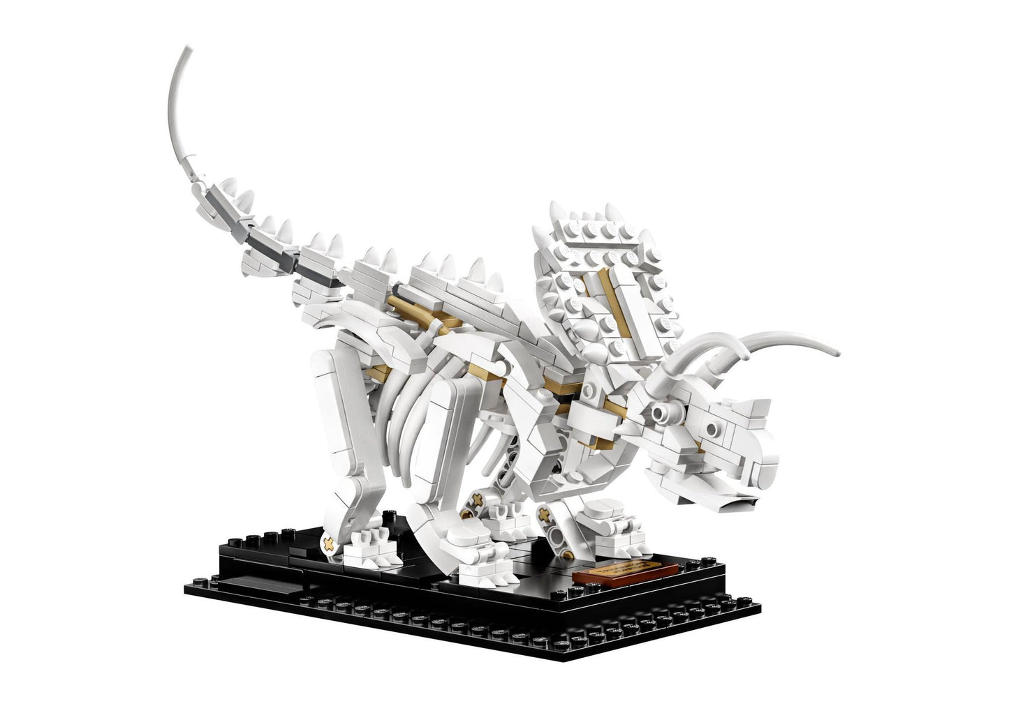 Lego 21320 Ideas Dinosaurier-Fossilien - plegobil