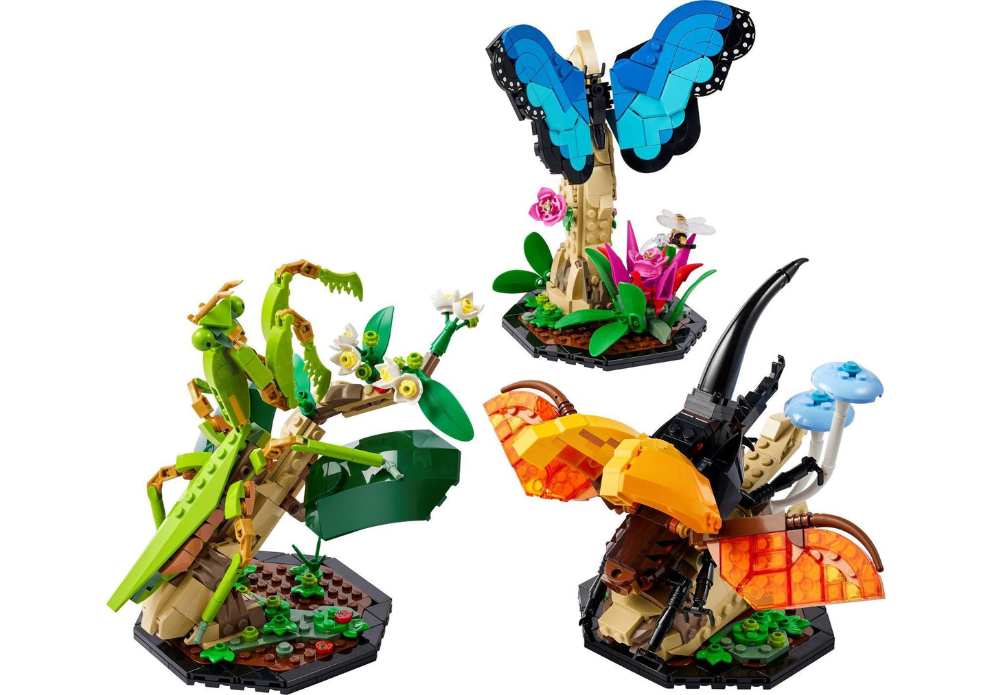 Lego 21342 Ideas Die Insektensammlung - plegobil