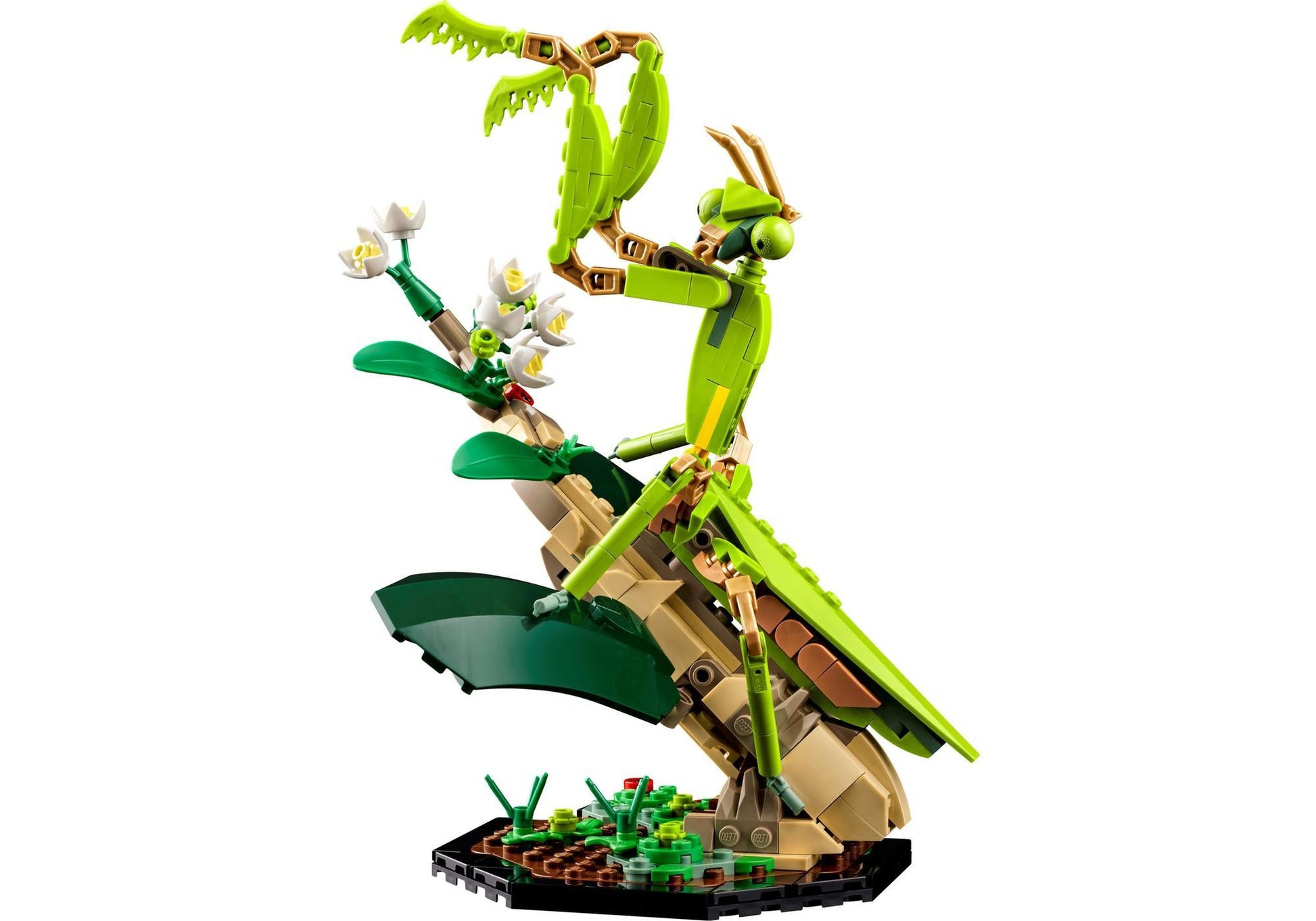 Lego 21342 Ideas Die Insektensammlung - plegobil