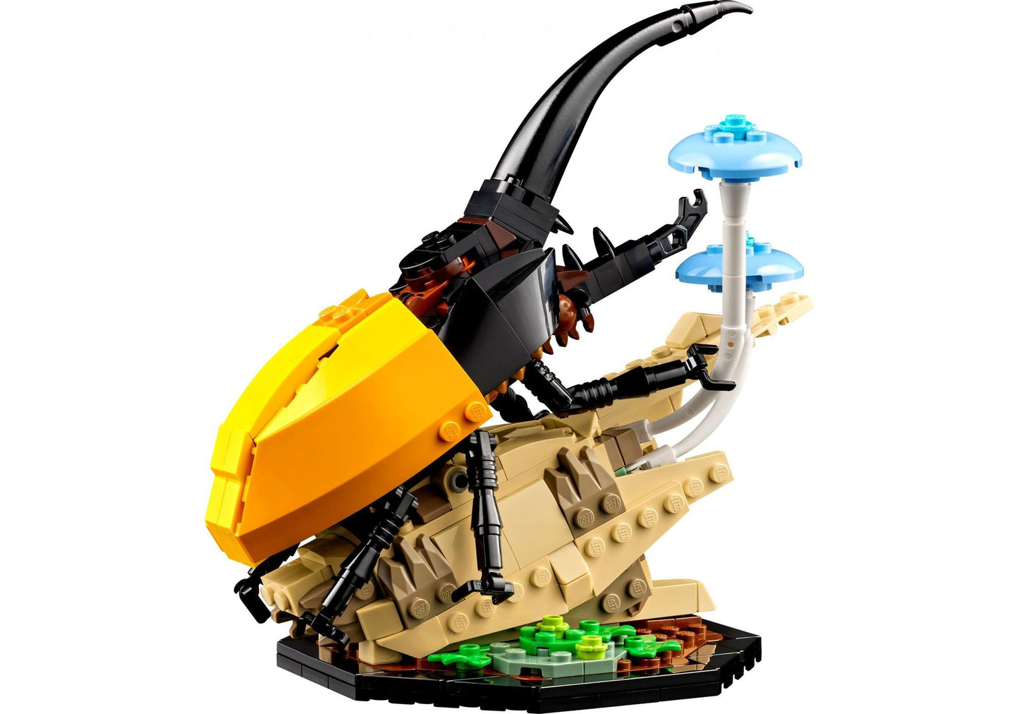 Lego 21342 Ideas Die Insektensammlung - plegobil