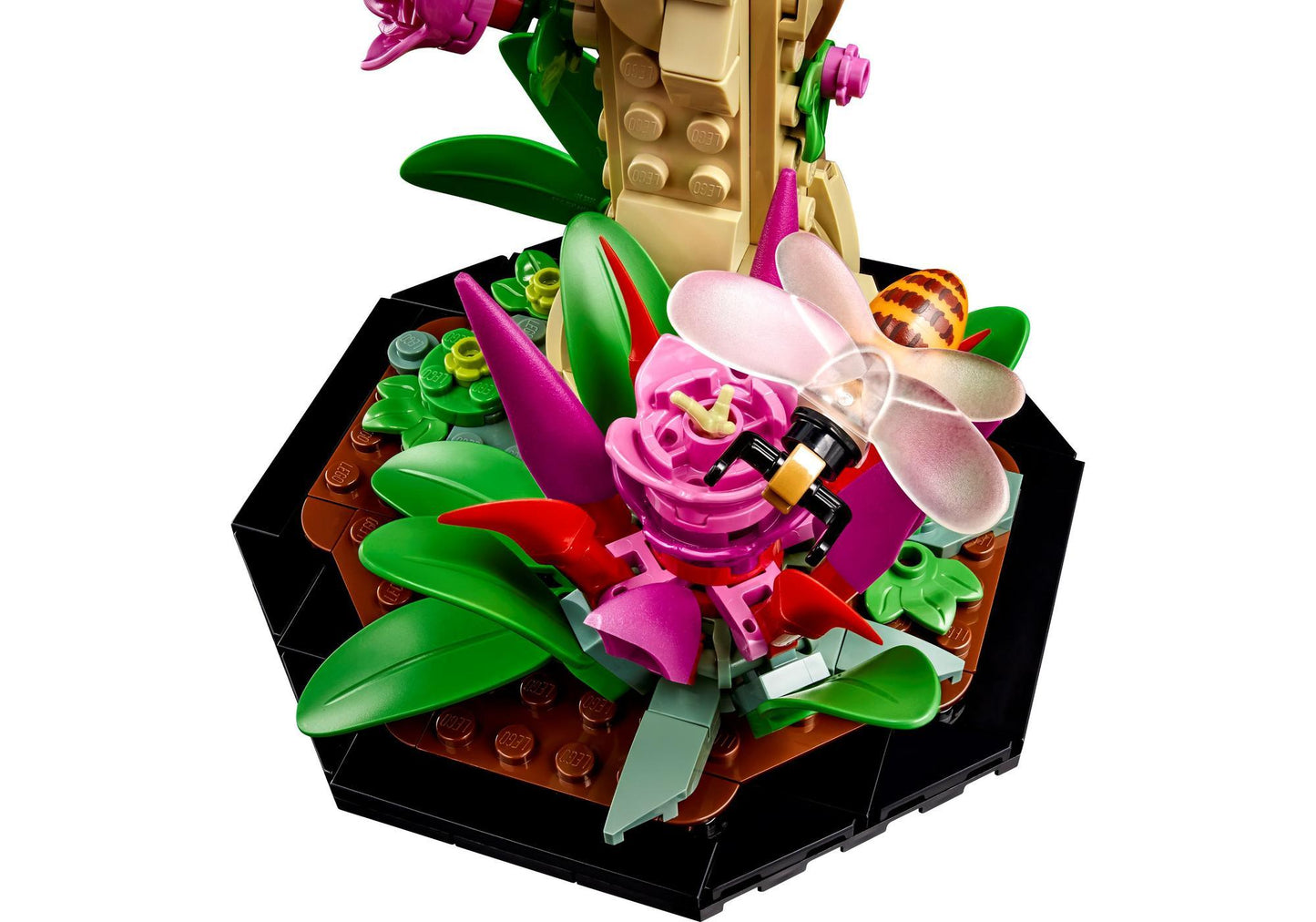 Lego 21342 Ideas Die Insektensammlung - plegobil