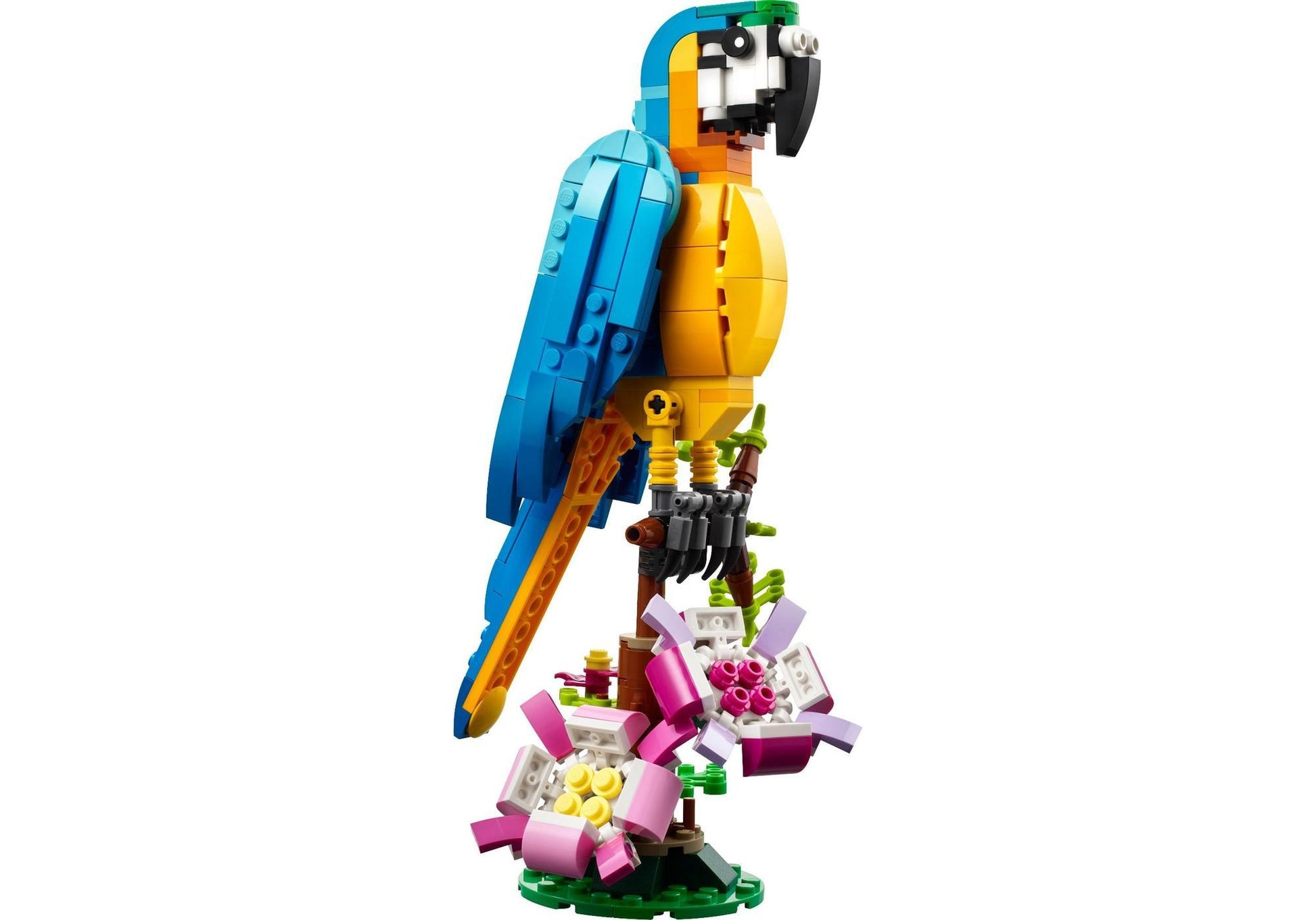 Lego 31136 Creator 3-in-1 Sets: Exotischer Papagei - plegobil