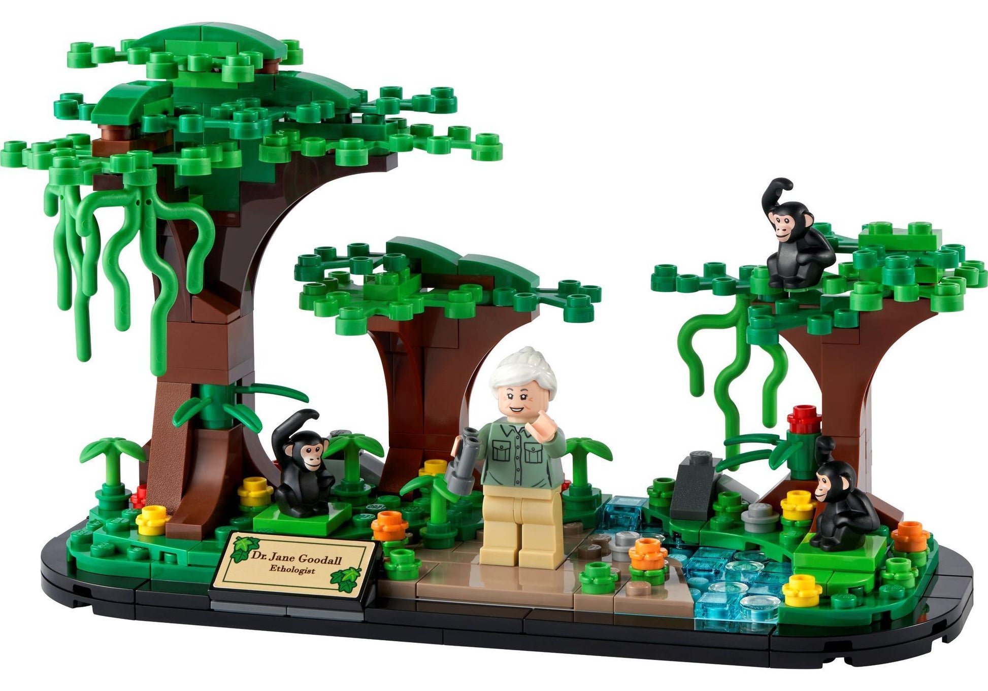 Lego 40530 Hommage an Jane Goodall - plegobil
