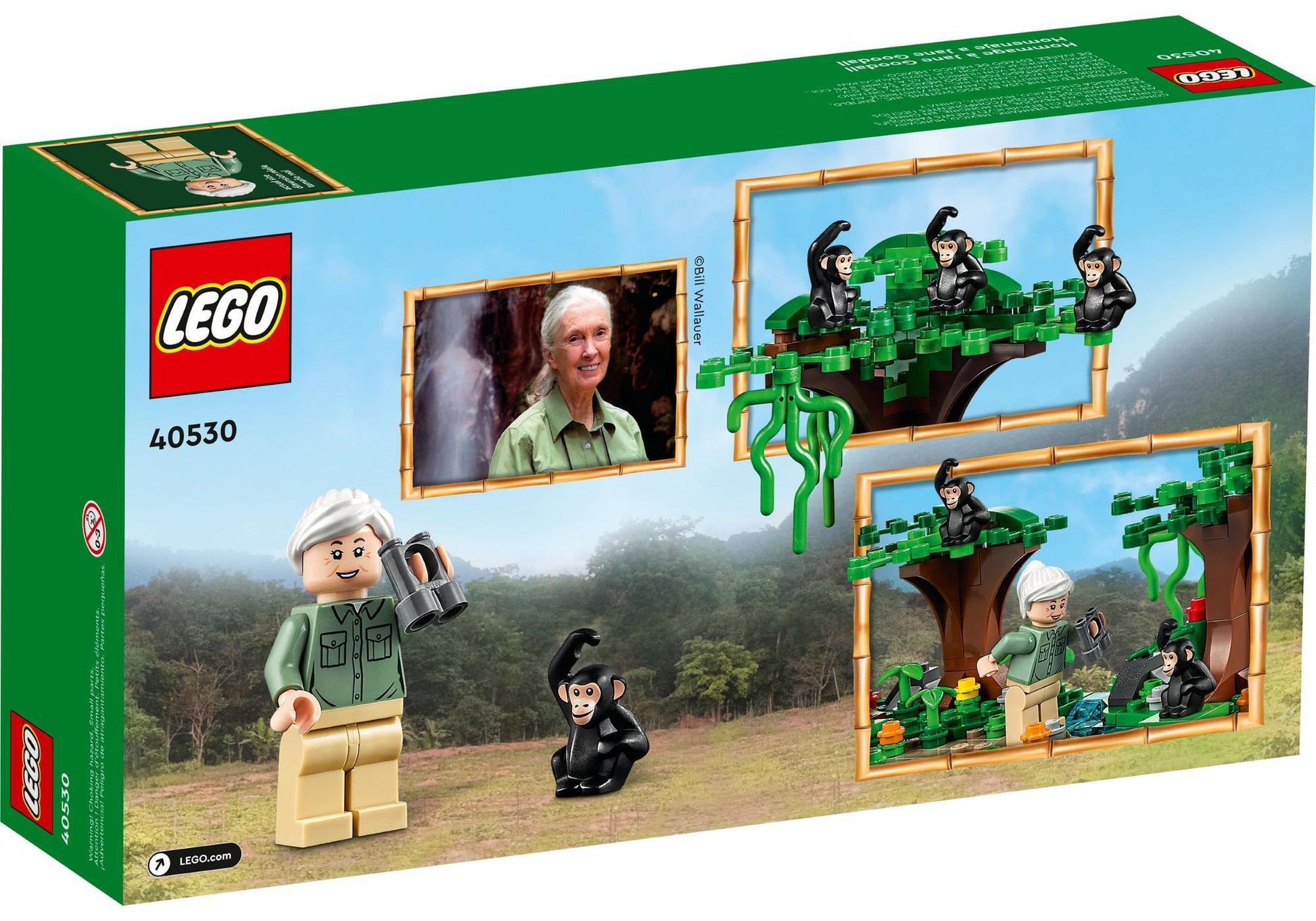 Lego 40530 Hommage an Jane Goodall - plegobil