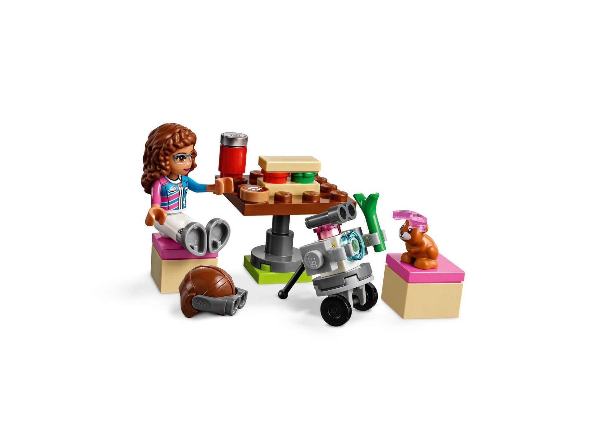 Lego 41343 Friends Rundflug über Heartlake City - plegobil