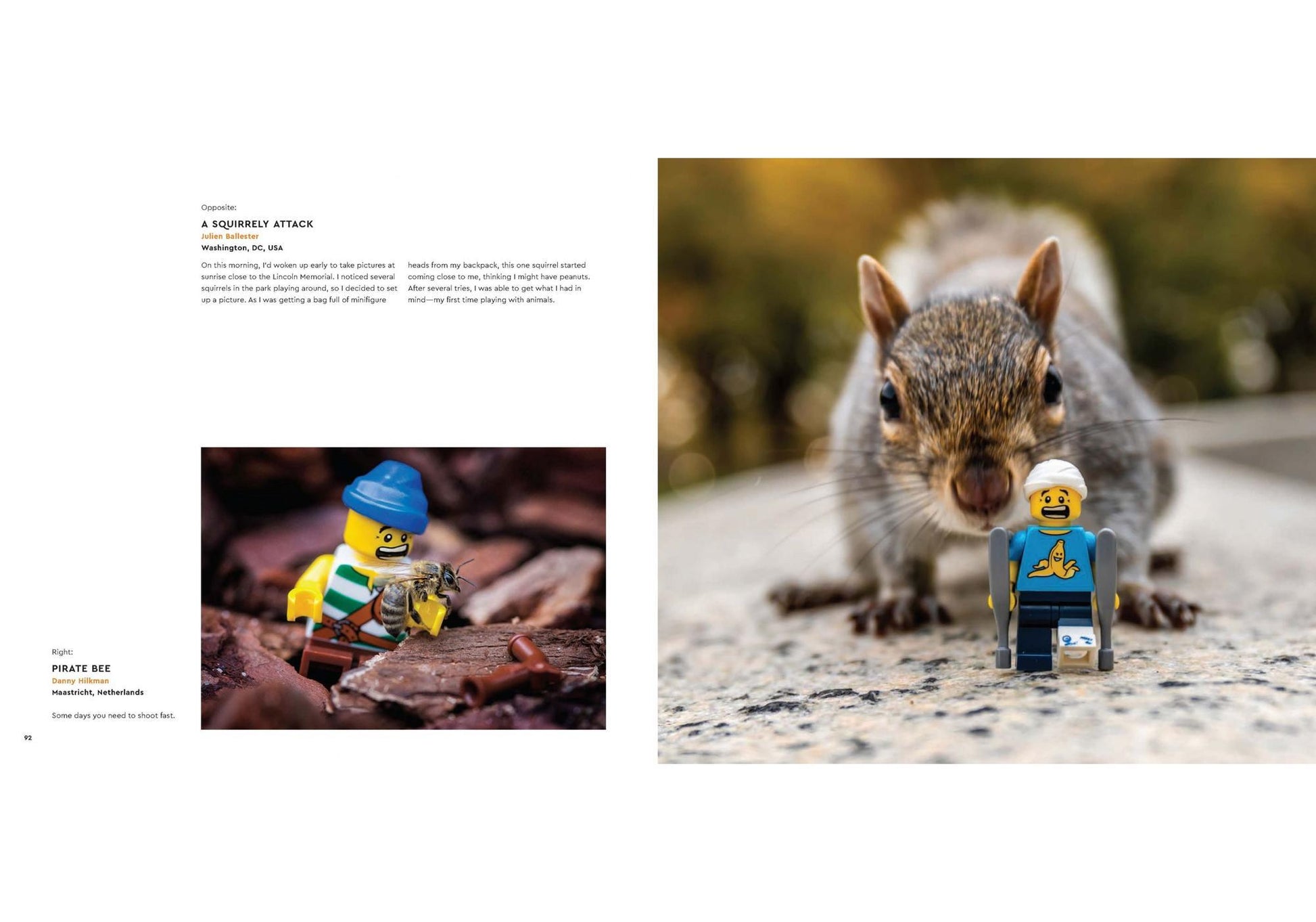 Lego 5007642 Buch In Focus - plegobil