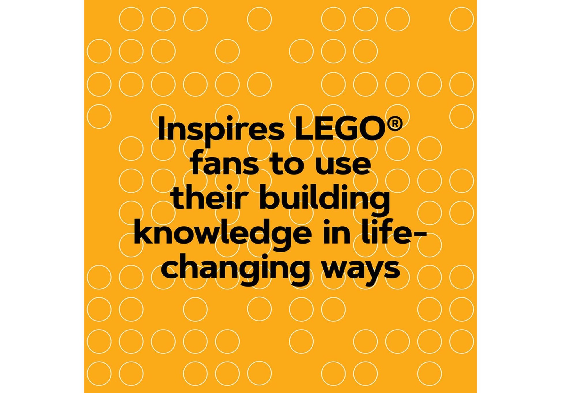 Lego 5008079 Buch Heroes - plegobil