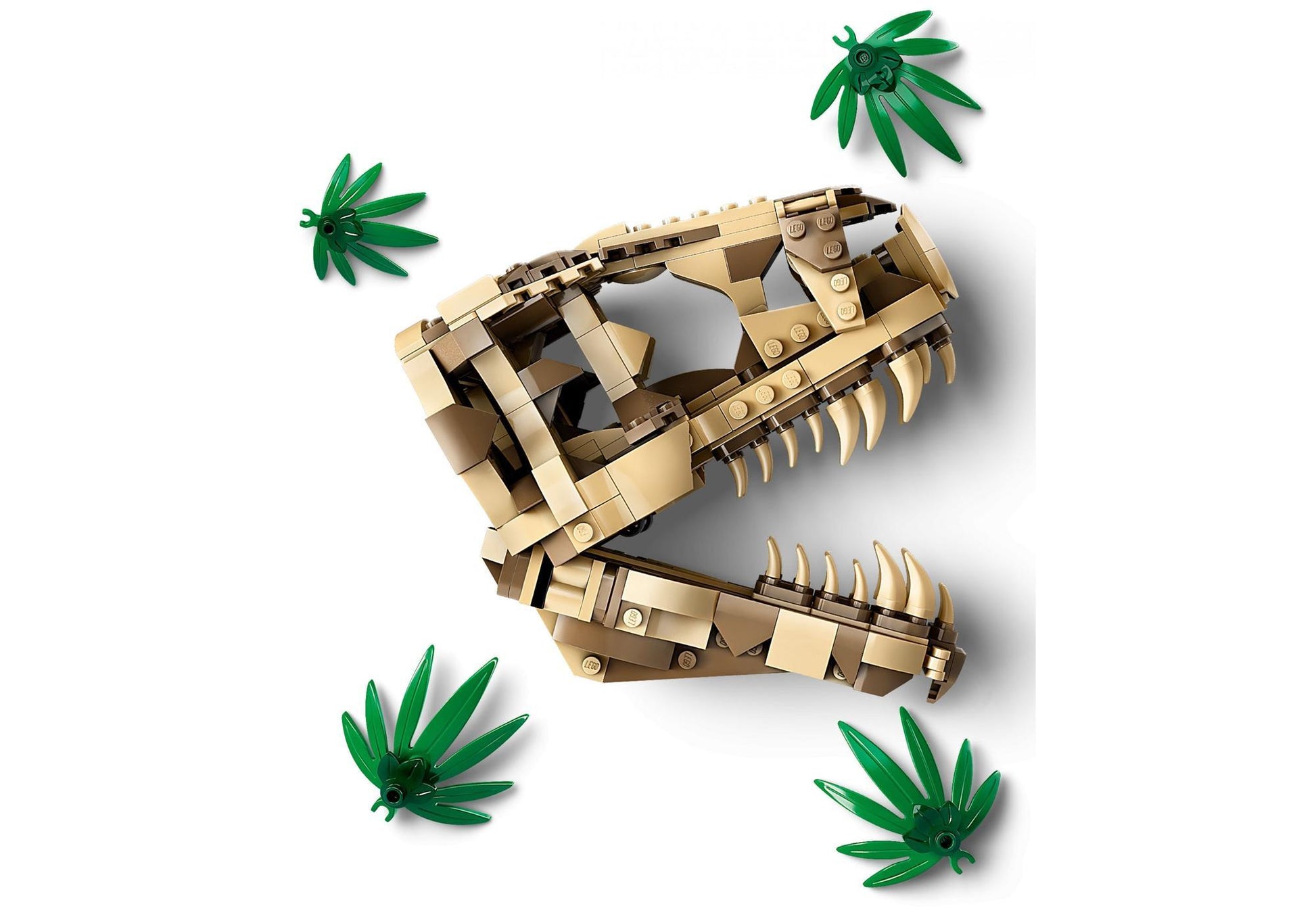 Lego 76964 Jurassic World: Dinosaurier-Fossilien: T. Rex-Kopf - plegobil