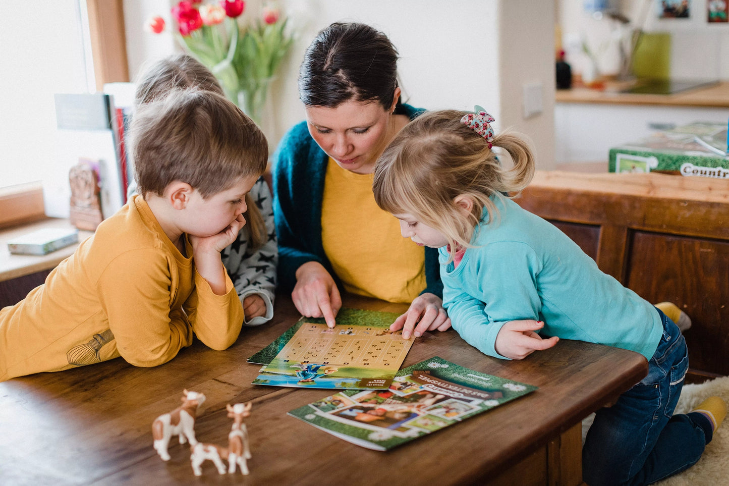 Playmobil 70763 Country Brettspiel Das Detektivspiel - plegobil