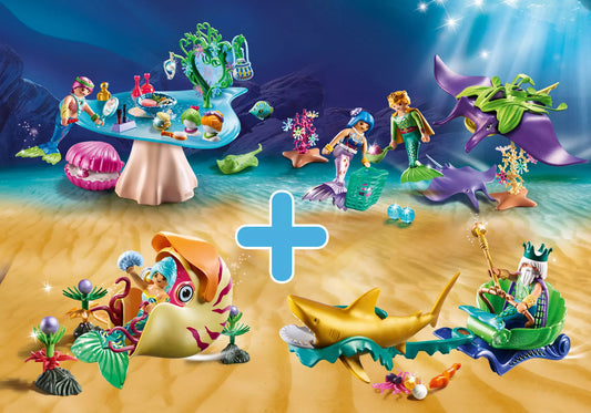 Playmobil PM2012T Magic Bundle - plegobil