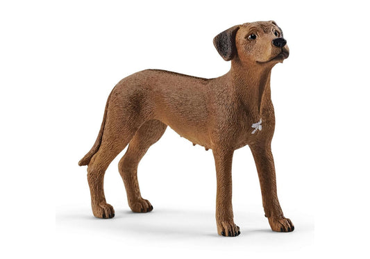 Schleich 13895 Farm World: Rhodesian Ridgeback - plegobil