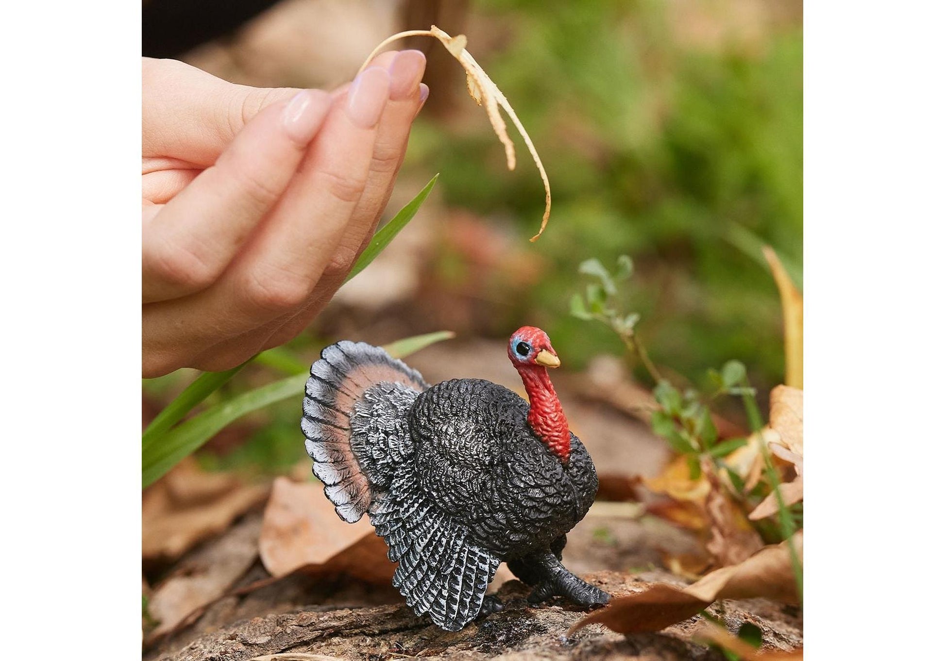 Schleich 13900 Farm World: Truthahn - plegobil