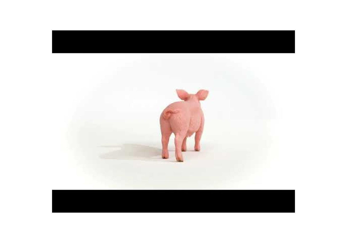 Schleich 13933 Farm World: Schwein - plegobil