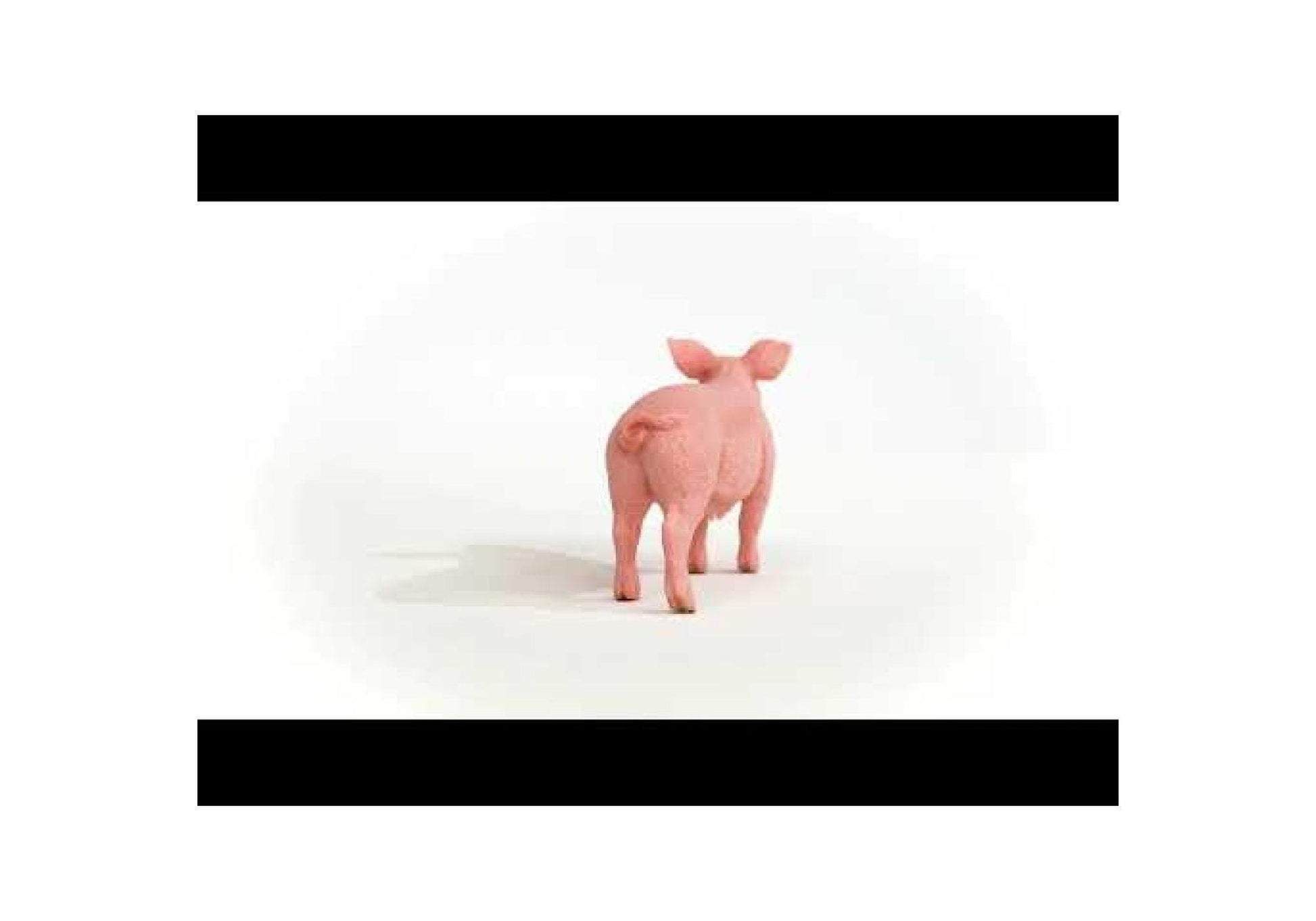 Schleich 13933 Farm World: Schwein - plegobil