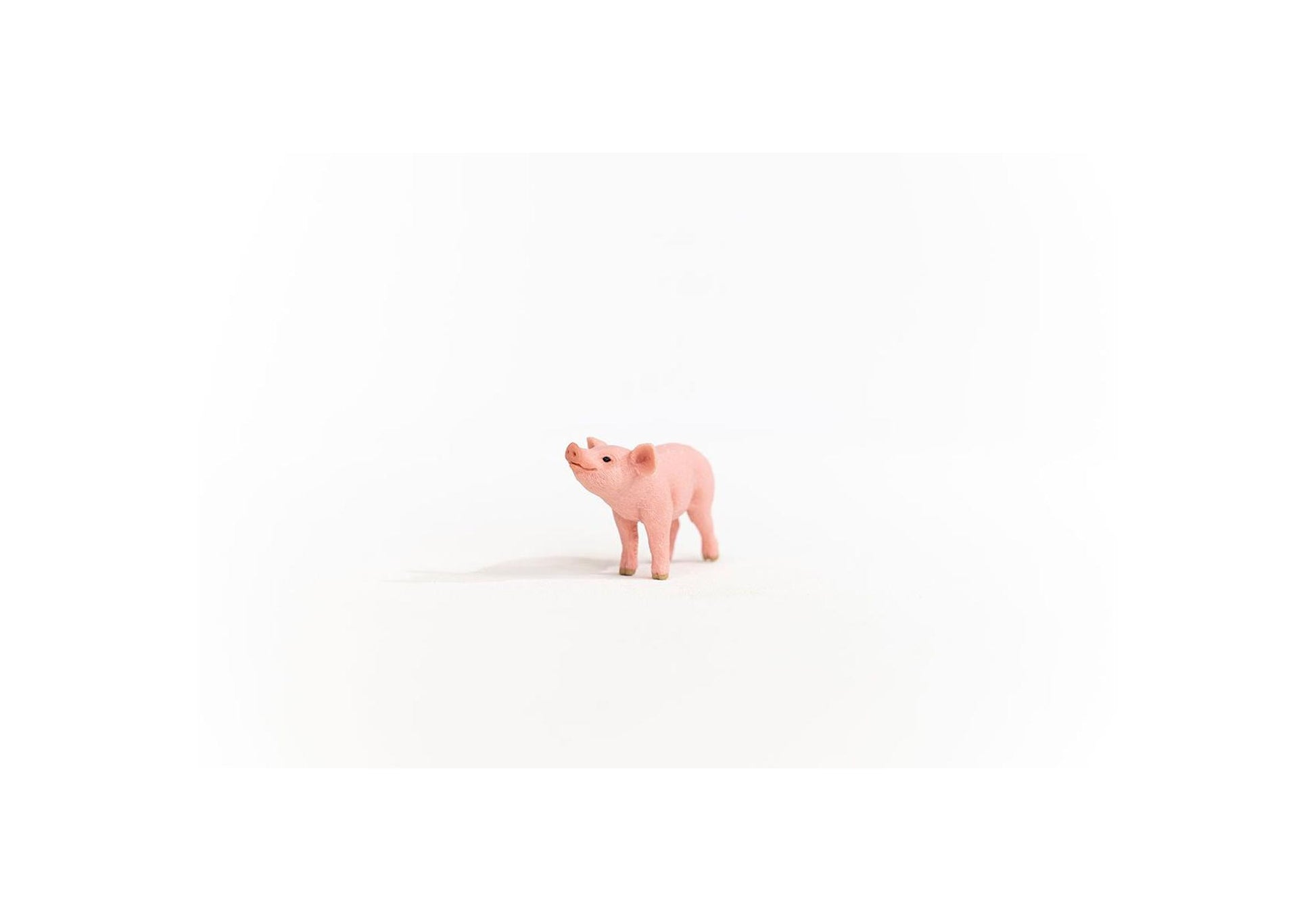 Schleich 13934 Farm World: Ferkel - plegobil