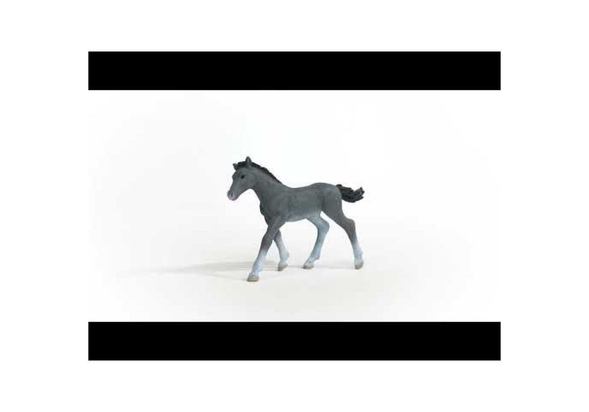 Schleich 13944 Horse Club: Trakehner Fohlen - plegobil