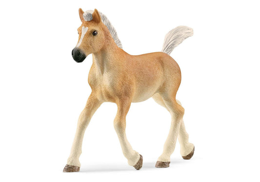 Schleich 13951 Horse Club: Haflinger Fohlen - plegobil