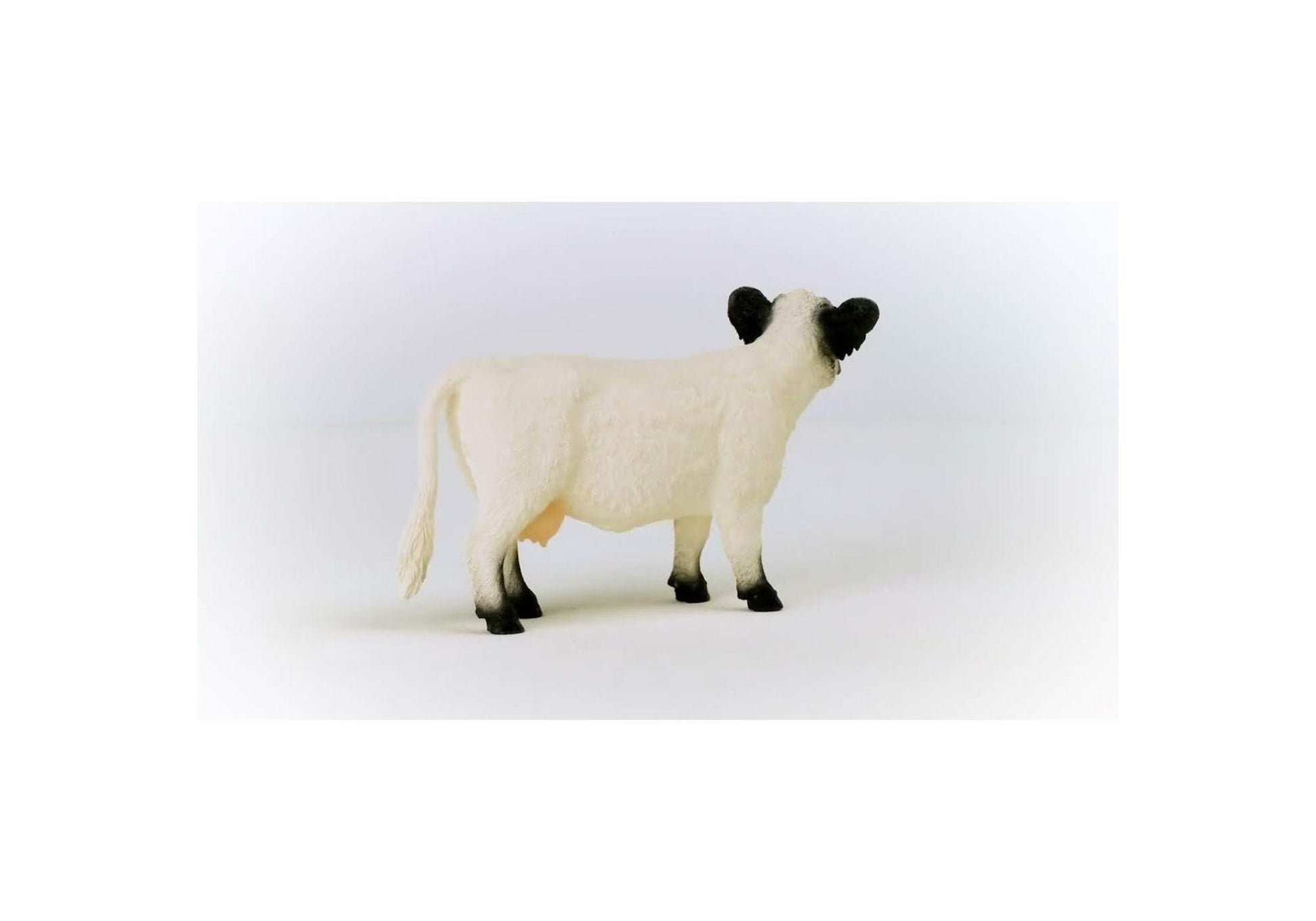 Schleich 13960 Farm World: Galloway Kuh - plegobil