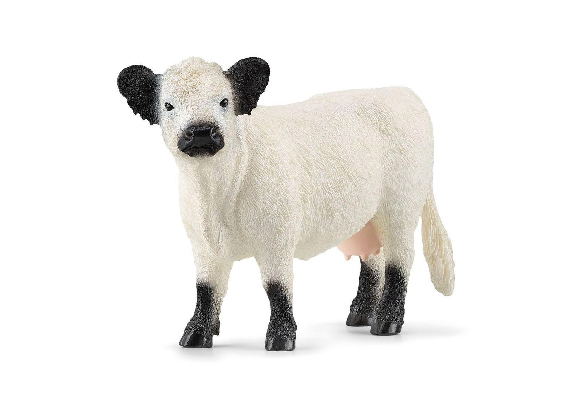 Schleich 13960 Farm World: Galloway Kuh - plegobil