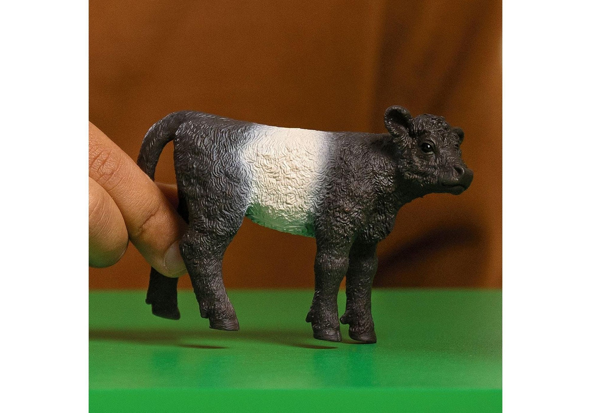 Schleich 13969 Farm World: Galloway Kalb - plegobil