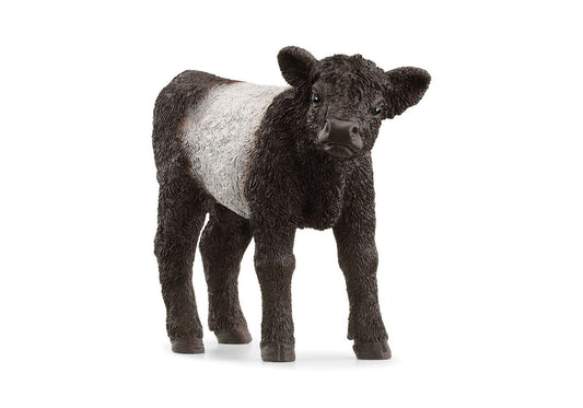 Schleich 13969 Farm World: Galloway Kalb - plegobil