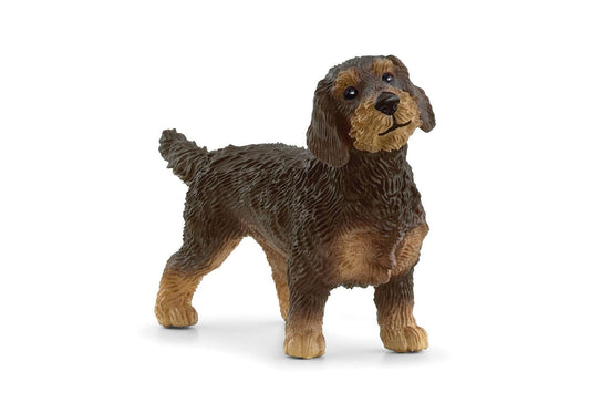 Schleich 13972 Farm World: Rauhaardackel - plegobil