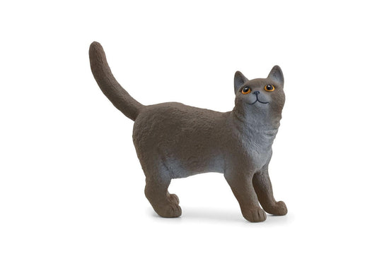 Schleich 13973 Farm World: Britische Kurzhaar Katze - plegobil