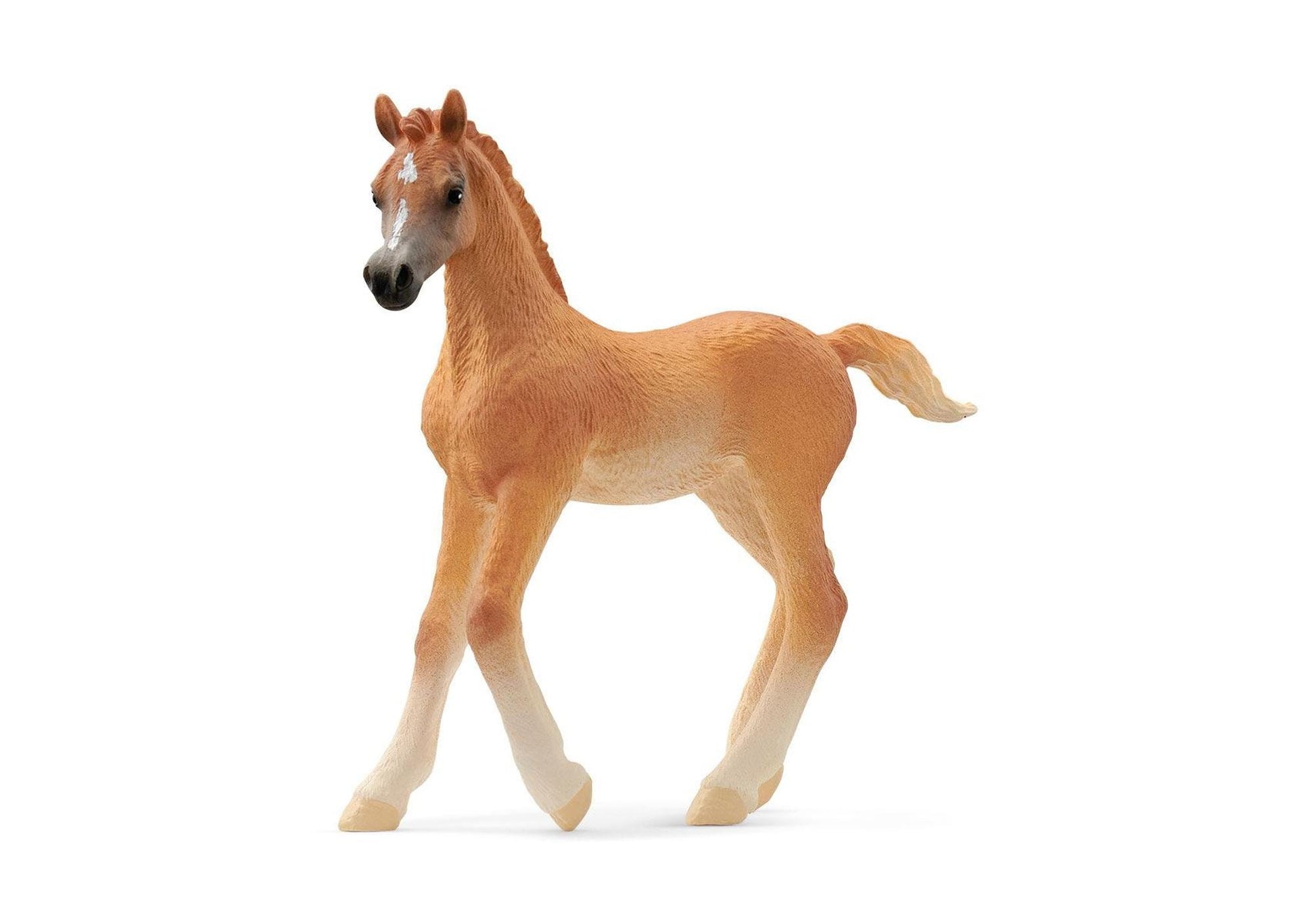 Schleich 13984 Horse Club: Araber Fohlen - plegobil