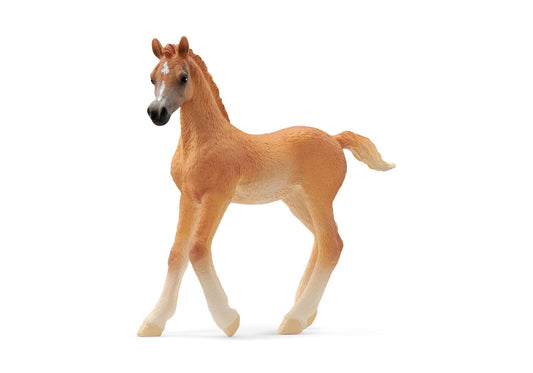 Schleich 13984 Horse Club: Araber Fohlen - plegobil