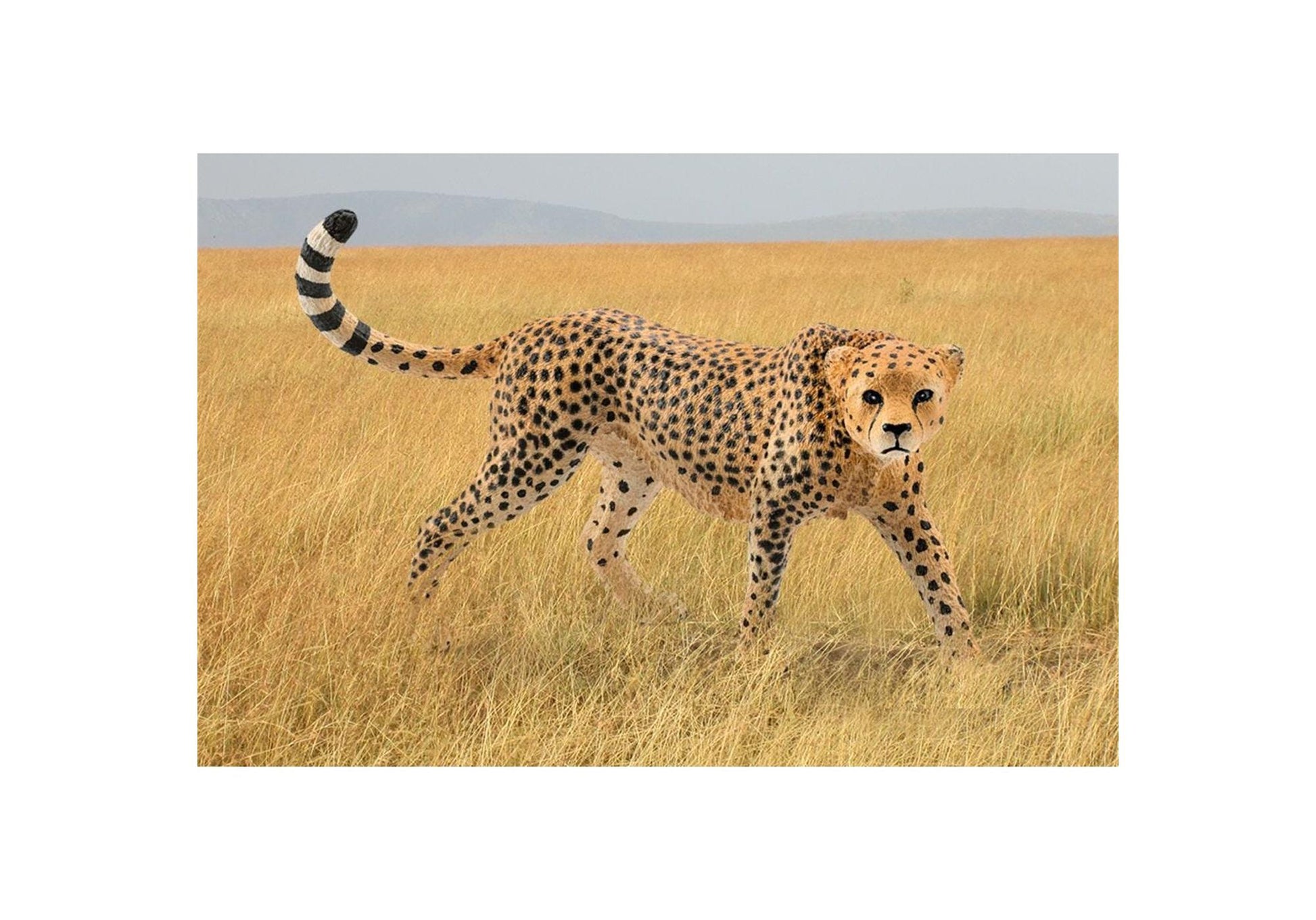 Schleich 14746 Wild Life: Gepardin - plegobil