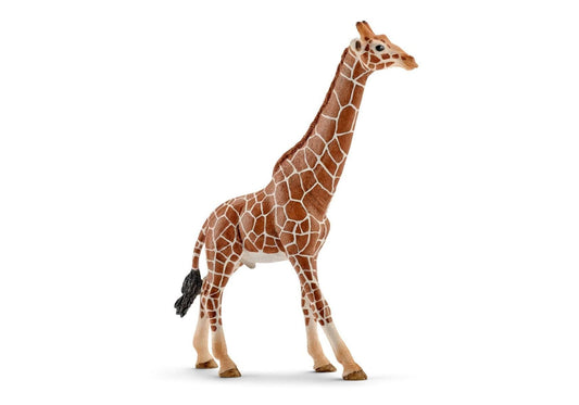 Schleich 14749 Wild Life: Giraffenbulle - plegobil