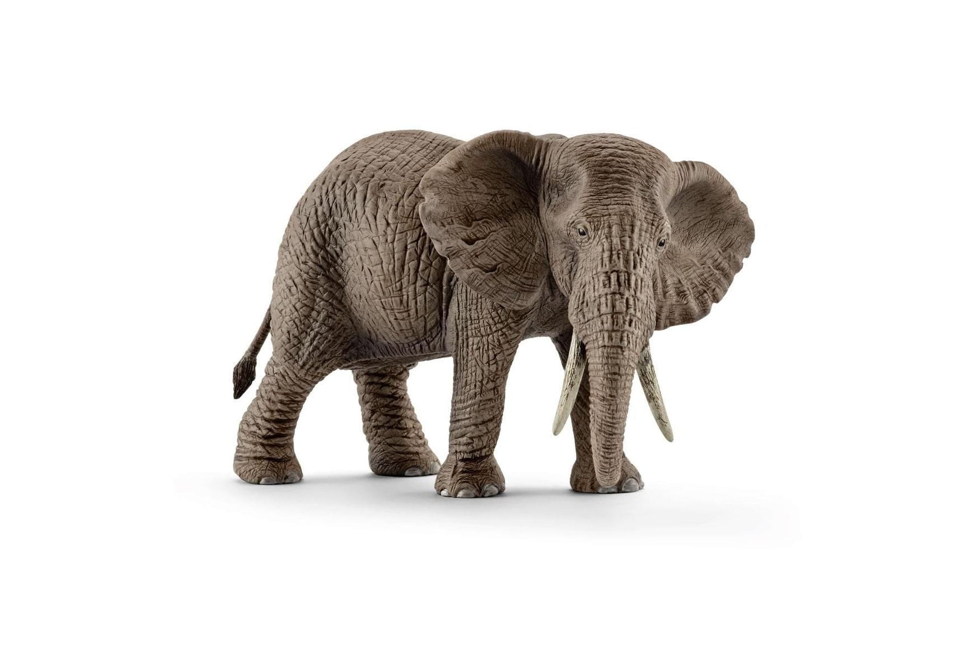 Schleich 14761 Wild Life: Afrikanische Elefantenkuh - plegobil